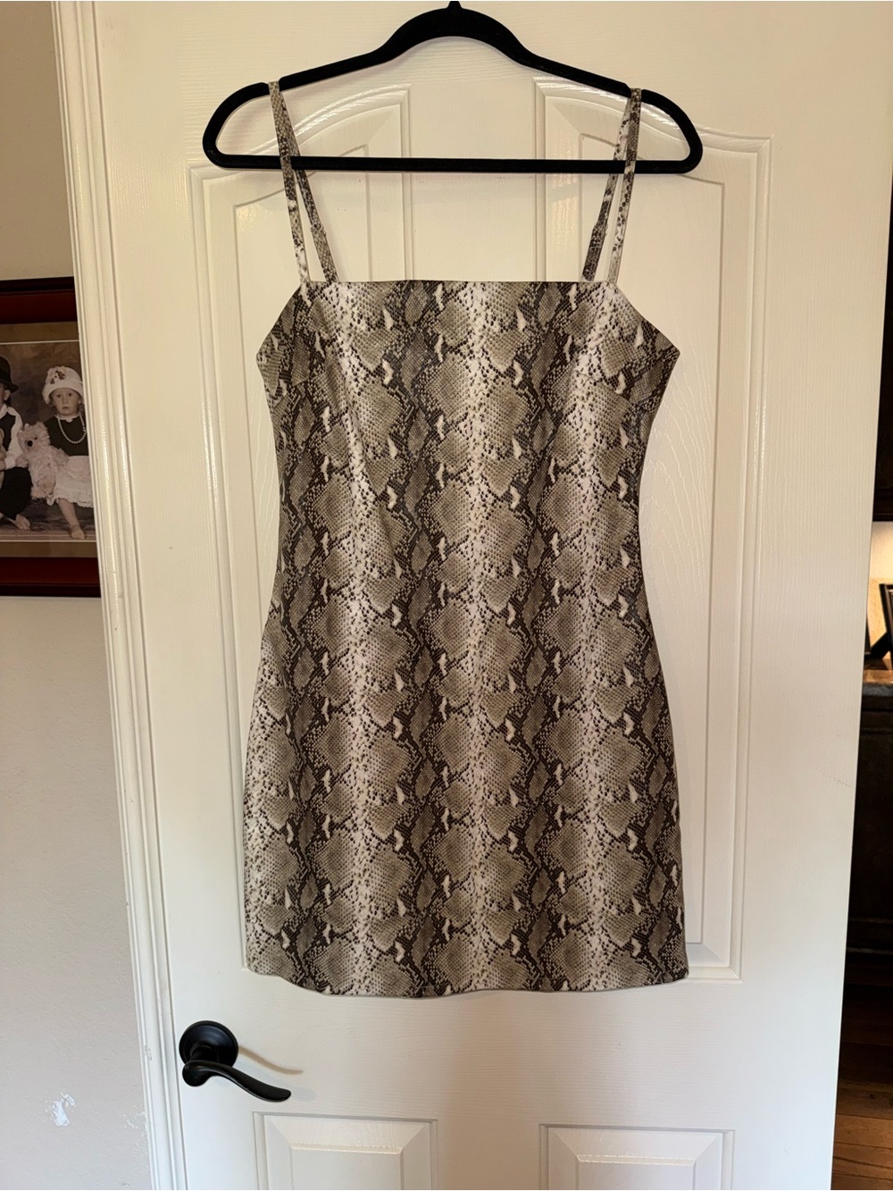 Tiger Mist Snakeskin Mini Dress in Beige and Black